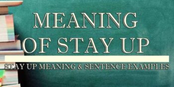 Stay Up Meaning 2
