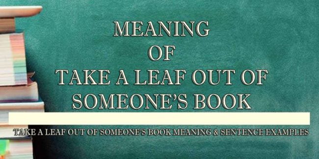 to take a leaf out of somebody's book meaning