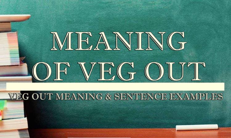 veg-out-meaning-sentence-examples