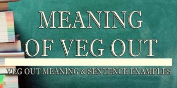 VEG OUT MEANING 2
