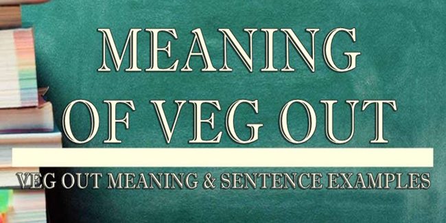 veg-out-meaning-sentence-examples