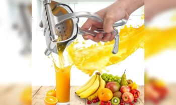 manual juicer