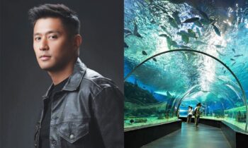 Rocco Nacino