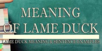 Lame Duck Meaning 4