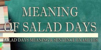 Salad Days Meaning 2