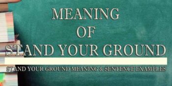 Stand Your Ground Meaning 2