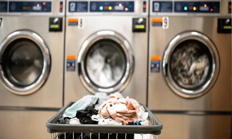 Laundry-Business-1