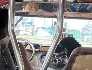 Jeepney Driver