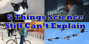 Science
