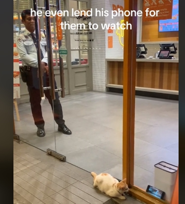 Kind Security Guard Kind Security Guard Earns Praise After Lending His Phone to Stray Cats ...