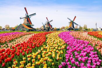 Netherlands Visa Requirements