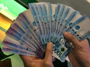 SSS Salary Loan Loanable Amounts