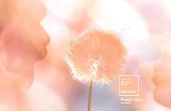 Peach Fuzz Is 2024 Color of the Year