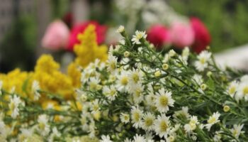 Requirements for DSWD Funeral Assistance