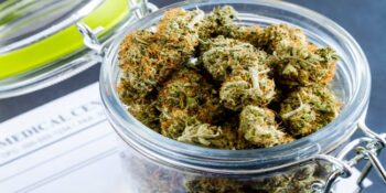 FDA, Medical Marijuana 4