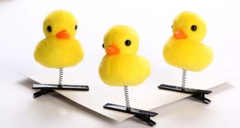 duck hair clips