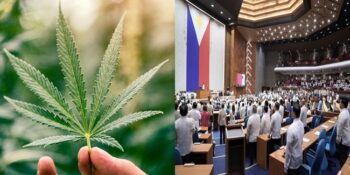 Medical Cannabis, House of Representatives 2