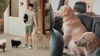 Christian Bables Dog Hope Dies