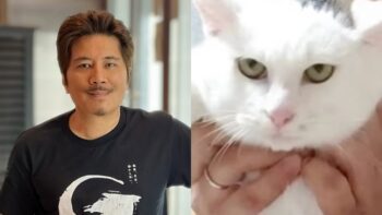 Janno Gibbs, Cat