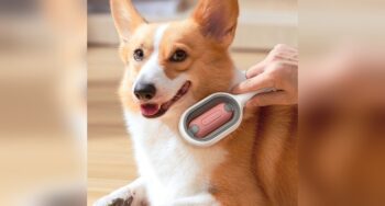 Self-Cleaning Slicker Brush