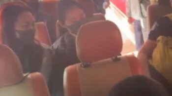 Alice Guo's Companions