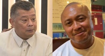 Arnie Teves, Boying Remulla