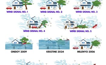 wind signals and rainfall warnings