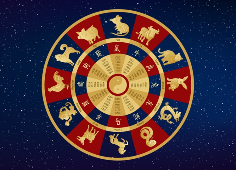 Chinese Zodiac Sign Predictions 2025 based on Animal Year | Newspapers