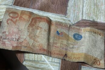 Sari-Sari Store Owner