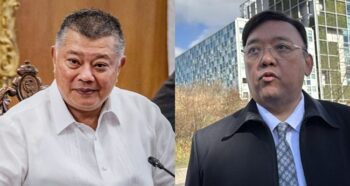 Boying Remulla, Harry Roque