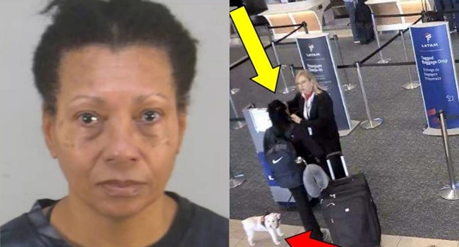 Woman Drowns Dog at Orlando Airport After Being Denied Boarding ...