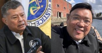 Harry Roque, Boying Remulla