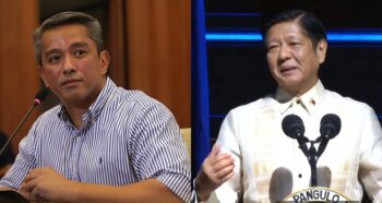 Jonvic Remulla, Bongbong Marcos