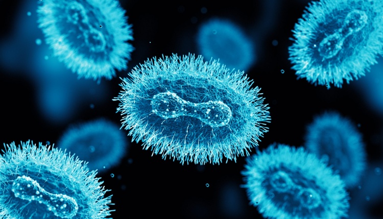 Monkeypox Virus