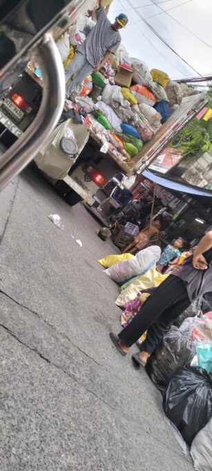 Lady Netizen