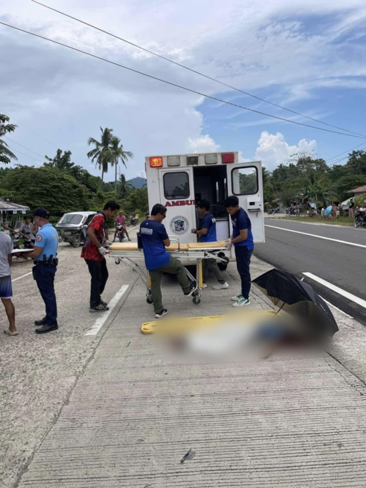 Elderly Woman Dies After Being Hit by Car in Palawan | Newspapers