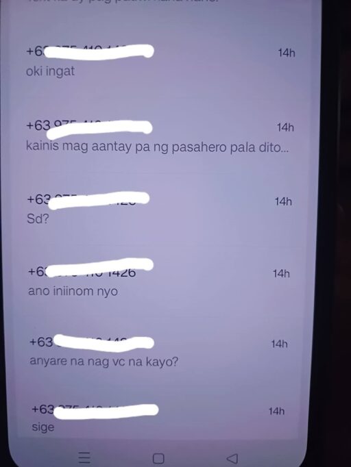 Lady Netizen