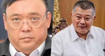 Harry Roque, Boying Remulla