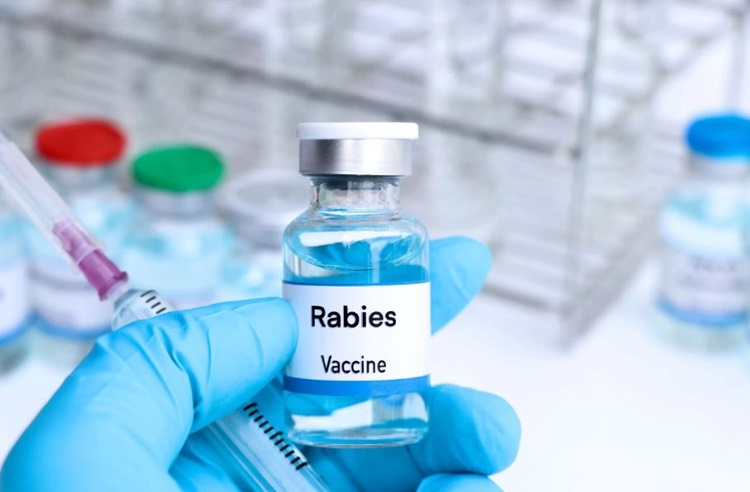 Free Anti-Rabies Vaccine