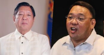 Harry Roque, Bongbong Marcos