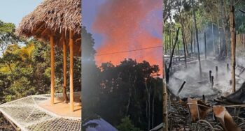 La Canopée in Siquijor