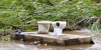 Toilet bowls in Hinigaran