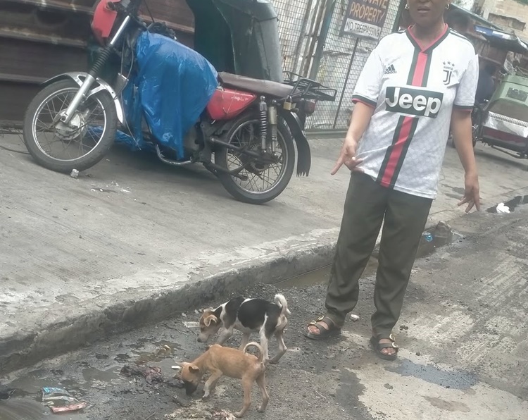 Hungry Puppies