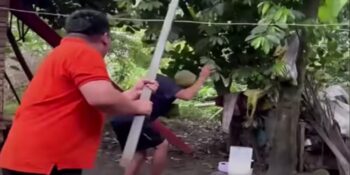 Coconut fall man head 1