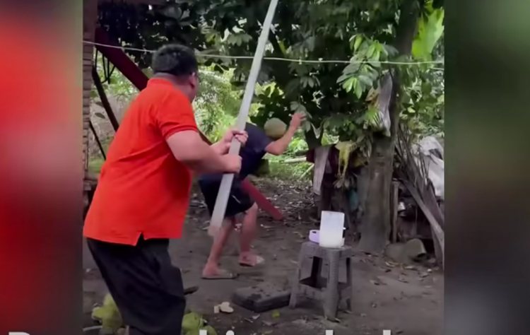 Coconut fall man head