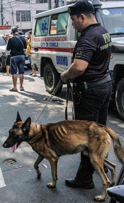 K9