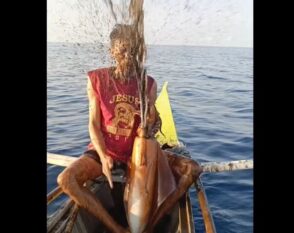 Fisherman