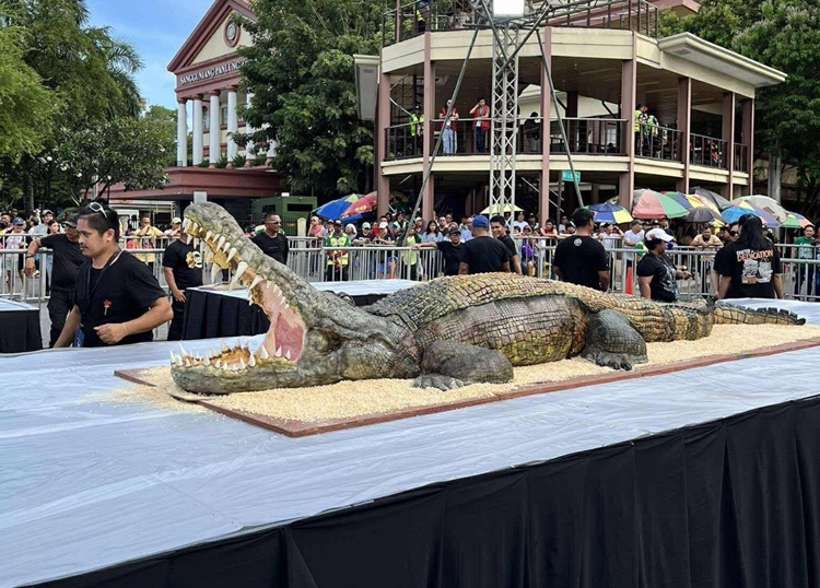 Crocodile Cake for Davao City Protesters