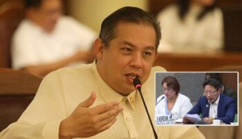 House Speaker Martin Romualdez, Discayas
