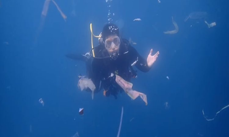 Luis Manzano